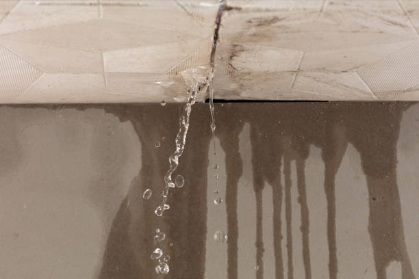 Professional Sewage Cleanup technician working in Dalton, OH